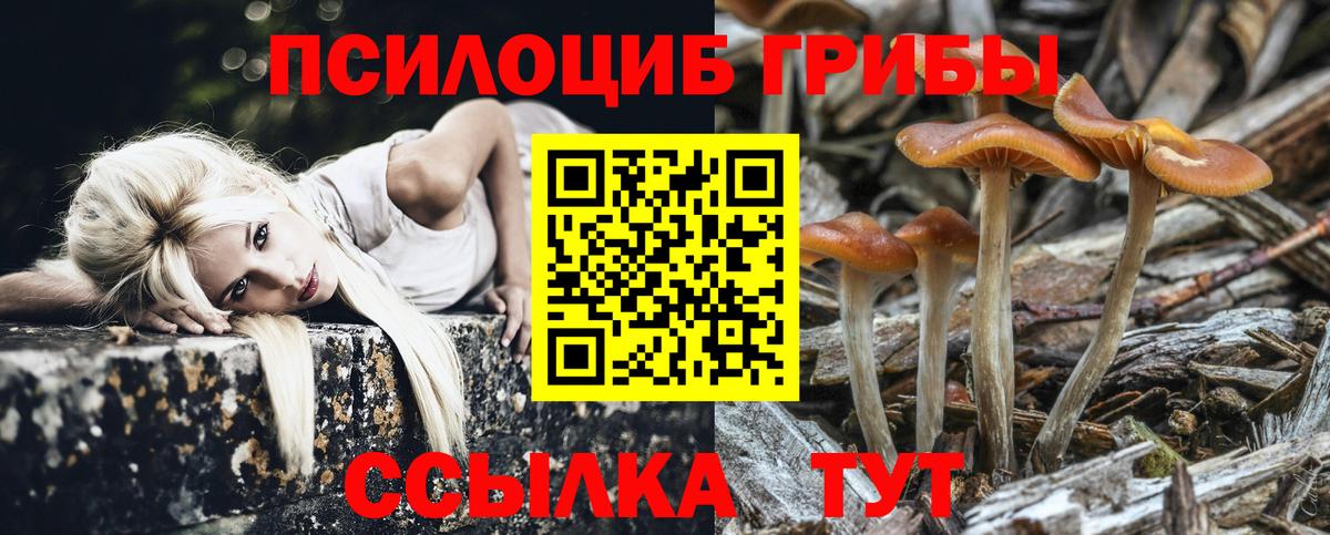 Псилоцибиновые грибы Cubensis  Вход с VPN  Нурлат 