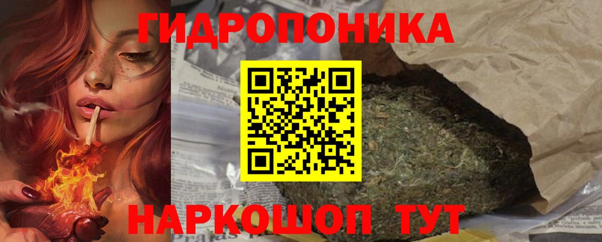 Каннабис индика Нурлат
